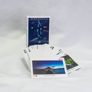 PLAYING CARD PLASTIC ISLAND SCANE