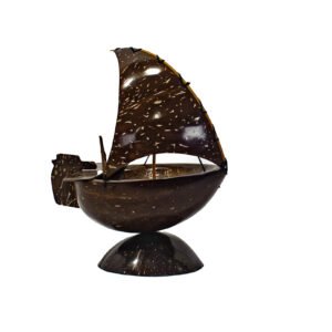 DHONI COCONUT SHELL 1 SAILS